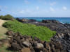 Poipu Area