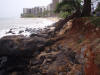 West Maui Area