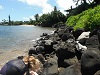West Maui Area