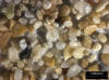 Sand Sample 1