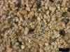 Sand Sample 4