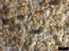 Sand Sample 5