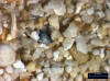 Sand Sample 8