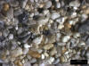 Sand Sample 11