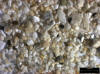 Sand Sample 12