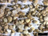 Sand Sample 16