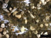 Sand Sample 17