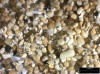 Sand Sample 19
