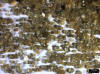 Sand Sample 20